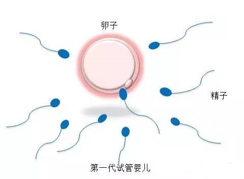 国医馆